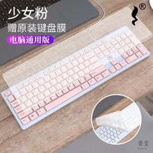 键盘有线家用笔记本台式电脑游戏办公打字巧克力薄膜静音送防尘膜