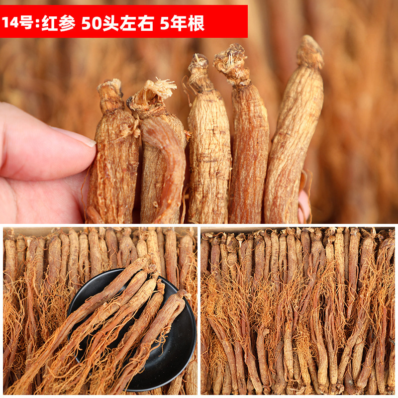 3号:红参50头左右5年根.jpg
