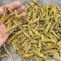 云南边境石斛
