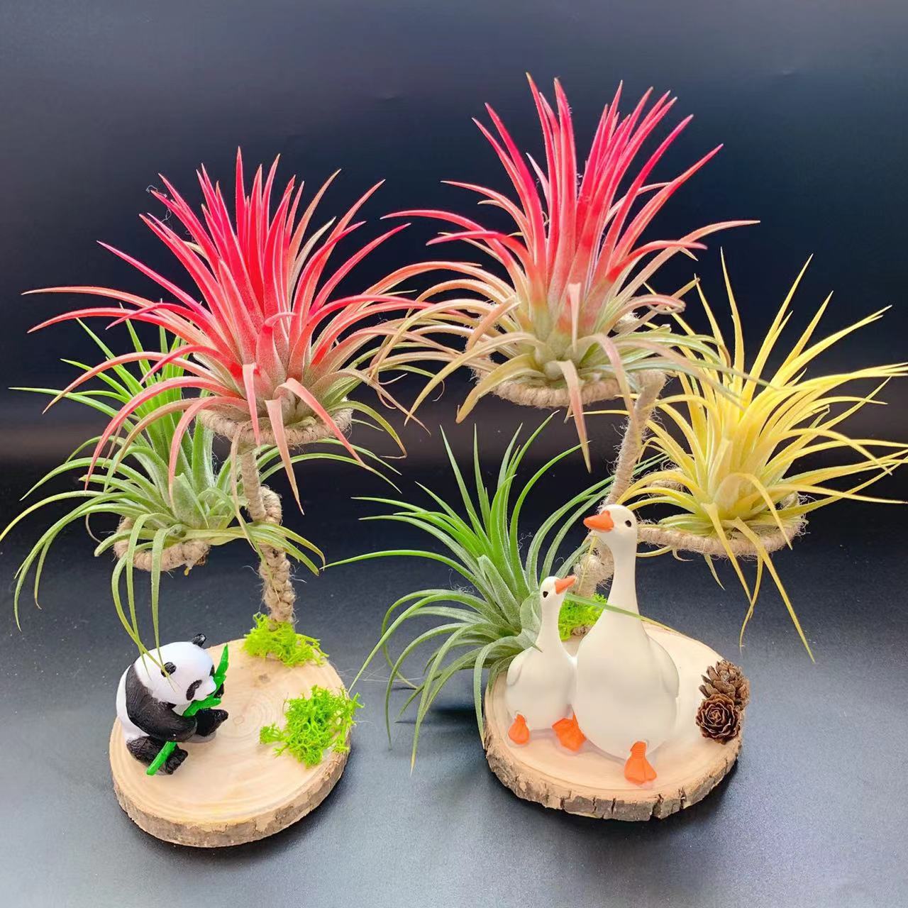 微信图片_20240418153700