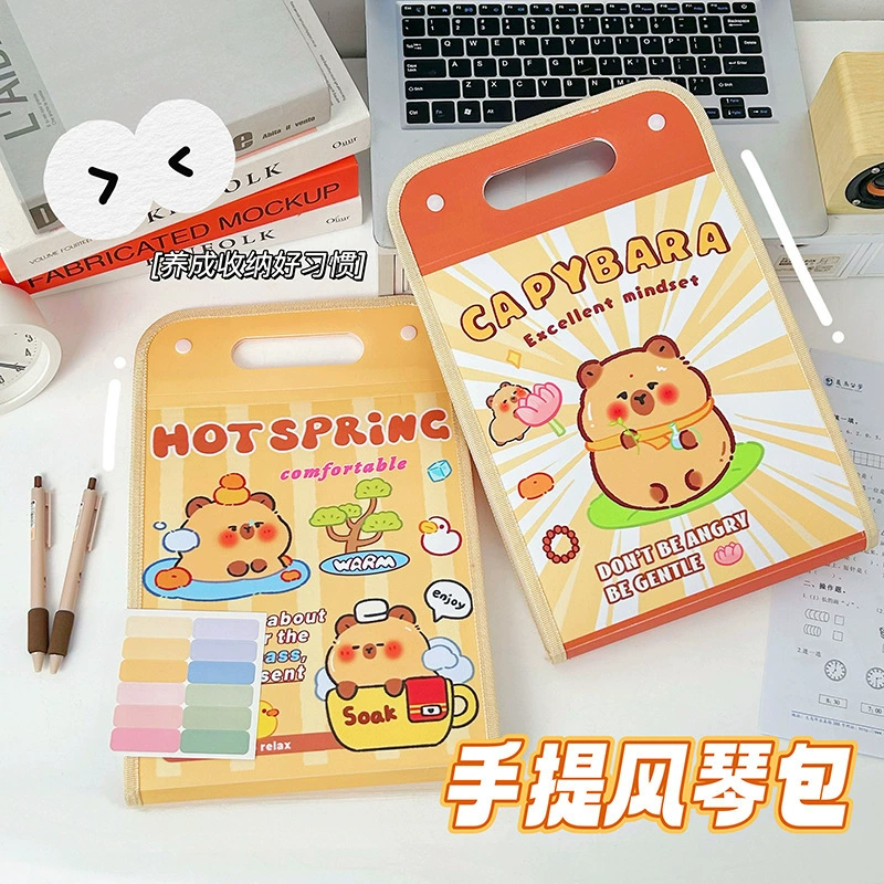 卡皮巴拉 Multilayer organ for students, folder, classification