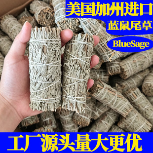 �����M���{��β��������Ѭ��޹��������g����Ѭ�㘶Blue Sage