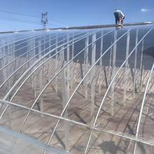 ������po����Ĥ�S�� ������poĤ���҂����a��  ���a�S�� Դ�^���S