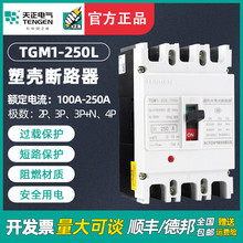 TGM1-250L/3300 4300·՚_P380160A225A200A250A