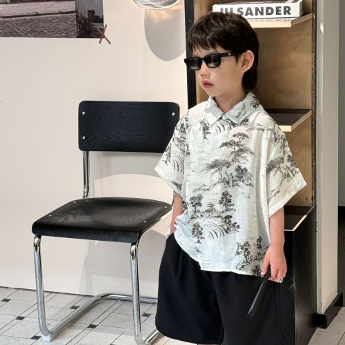 Tairu 2024 new summer Korean style boys' fashionable and versatile new Chinese style shirts children's trendy tops