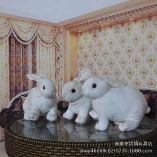 �ɐ۷���С���������նY�ﲼ���޹���ë�q��߃�ͯ��ż���Sֱ�N