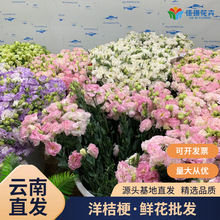 新鲜洋桔梗鲜花批发云南基地直批鲜切花龙胆花婚庆布置花材配花