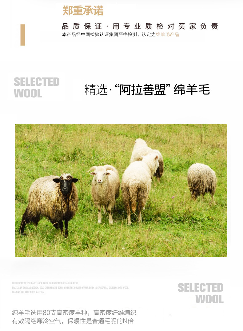 2022沙发版_04.jpg