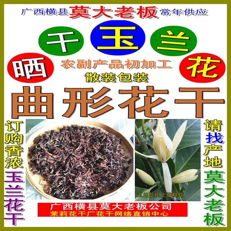 Босс Мо Дао поставляет чай с сухим цветком магнолии