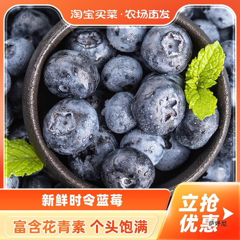 Yunnan clear sweet burst juice blueberries, plateau fresh berries, sweet-tart seasonal fruit, blueberry in-season fruit
