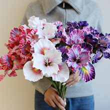 ��c�zӰ�û���ɫ�Sβ���廨�߼��мٻ��Ҿӿ͏d�������滨�b�