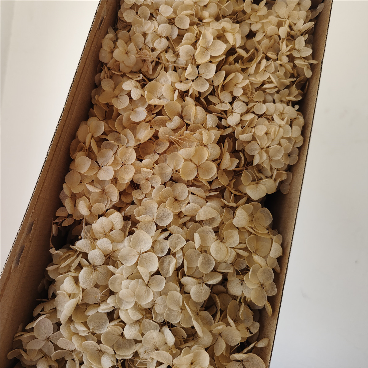 Flor eterna Hortensia Anna pequeña hoja flor seca flor real árbol de Navidad ventilador hecho a mano ramo DIY material paquete flor