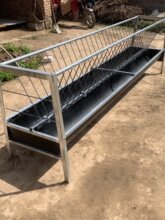 ��ԲݵĲ�ʳ��2����\���3��ţ���¿�Ӻ��p���ϲ۲���