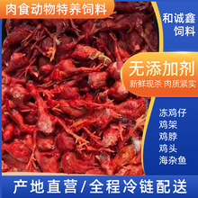 鳄鱼狐狸类特养饲料冷冻小鸡仔宠物猫狗粮零食动物特养饲料