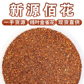 厂家批发鲜叶金雀花 南非博士茶 路易波士茶整箱散装支持密文发货