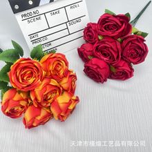 7�^����õ�� ��߅õ�����ٻ���c��Y�Ҿә����bW�tõ���ٲ�