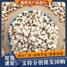 ��؛���������l �r���Ԯa��ü�� �׶� � �׶� ���� �s�Z5����