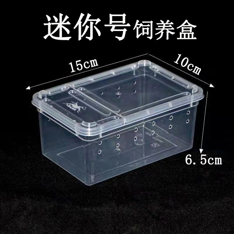 迷你號批發盒爬寵飼養盒角蛙蜘蛛昆蟲飼養箱蝸牛蠶寶寶養殖盒飼養