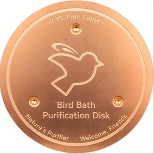 ���R�d������ƷBird Bath Disk�Bˮ���坍�� �~�|�A�P