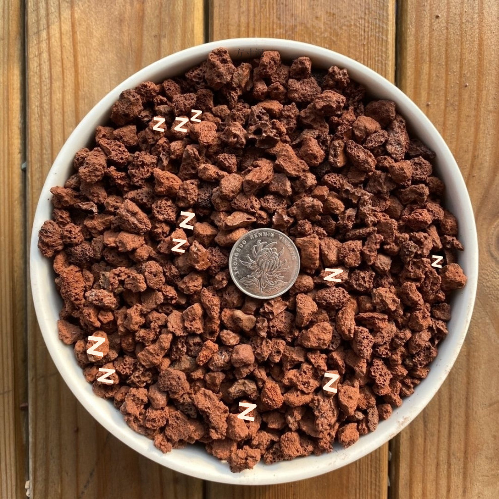 6f320530-d8b5-4f29-a926-254488aa58ad.jpe