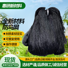 防鸟网 鱼塘家禽大棚涤纶果园驱鸟网农用加粗养殖围网植物攀爬网
