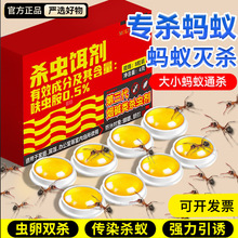 美顿邦灭蚂蚁药室内全窝家用端厨房灭蚁非无毒杀红黑黄小蚂蚁饵剂