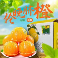 【精选】 重庆奉节伦晚脐橙春橙当季新鲜水果现摘5斤/9斤