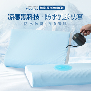Summer Ice Silk Cool Anti-Slobber Latex Pillowcase Pair Single Memory Pillowcase Rubber Pillowcase 40X60