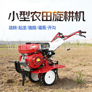 �ַ�ʽ��������ě_�̴��������CС����ط����CӲ���_�ĸ��N�C