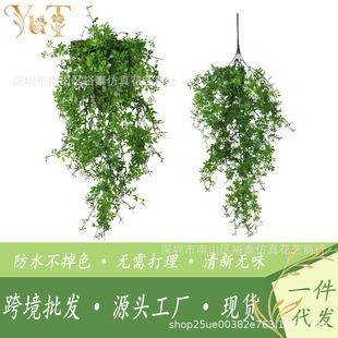 ����ڒ�ˮ���ٗl�Ҿ��҃��⠝���b��k����d���栝���b[��