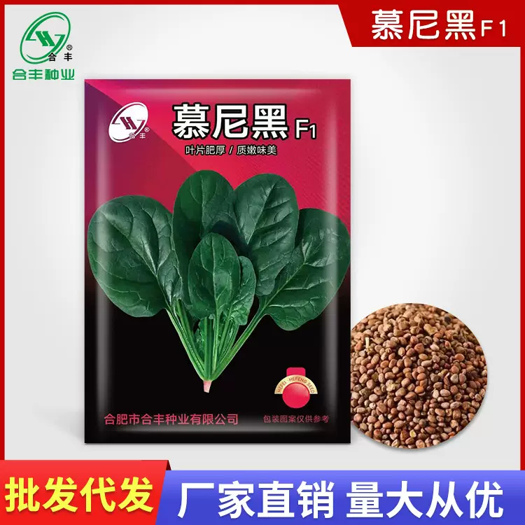 慕尼黑菠菜种子40g 圆叶菠菜种籽四季抗热波菜种孑蔬菜籽厂家批发
