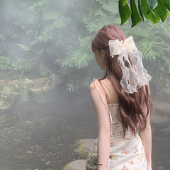 超仙の長い蝶結びのリボンのヘアピンの夏の甘い網の紗の少女のヘアピンの後頭部のスプリングのクリップの頭飾り