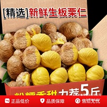 去皮生栗子仁信阳生板栗仁真空新鲜剥壳甘栗仁去壳板栗肉无皮孕妇