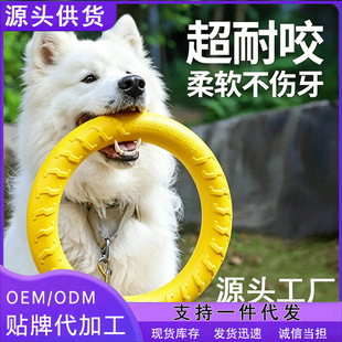 �����������ҧ����Ӗ����߅����ë�RȮ�д���Ȯ���h�w�P������Ʒ