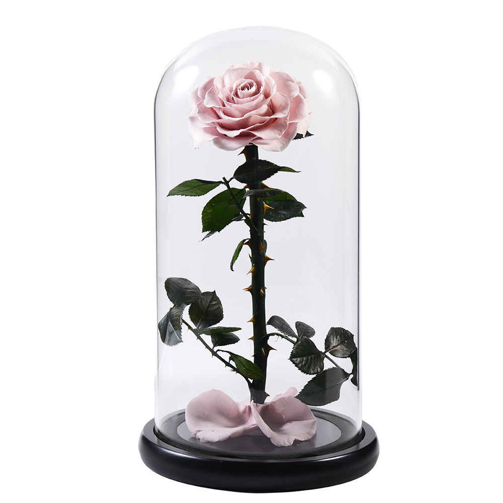 Polvo de tarjeta 15 * 30cm