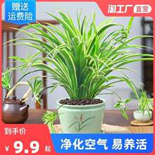 ��߅���m���Ի���ֲ���҃Ȼ��̨�����՚�ȥ��ȩ�Gֲˮ�Bˮ�ഹ��