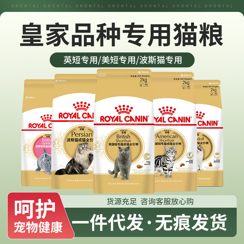 Royal/Household Cat Food 2kg Ragdoll Cat Ra32 American Shorthair British Shorthair Silver Gradient Maine  Persian Cat 10kg Cat Kitten Adult Cat