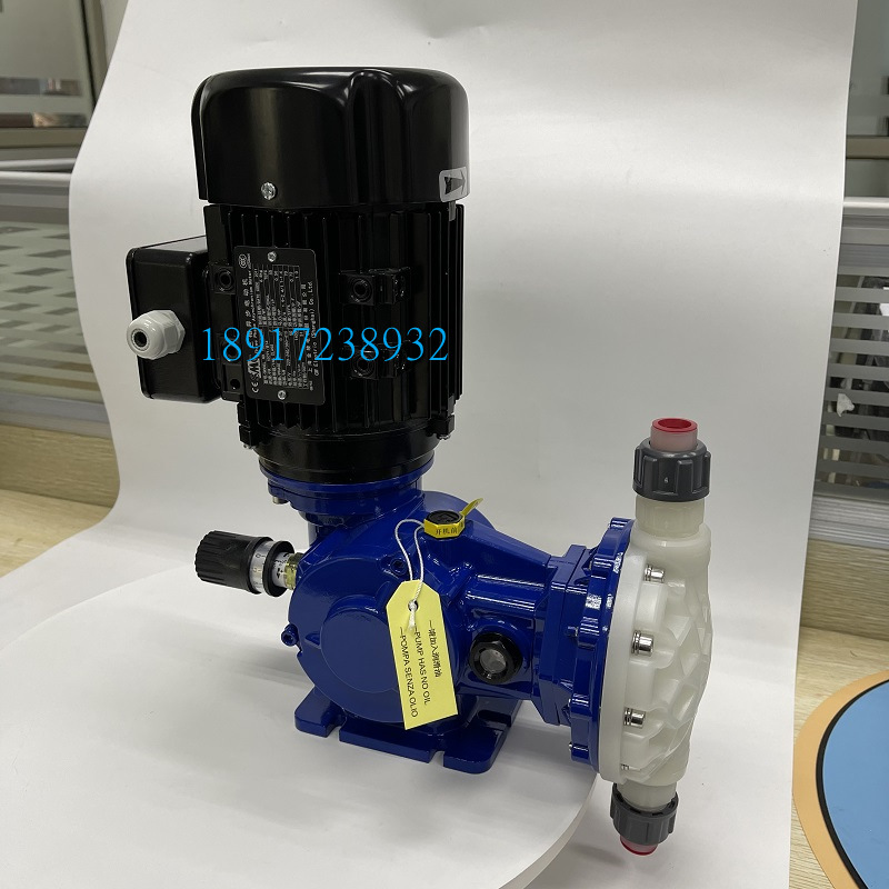 SEKO赛高MS1A094C21BS080机械隔膜式计量泵加药泵流量40L/H
