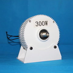 三相交流永久磁石発電機300W風力発電機部品12V24v工事実験用M型風力エネルギー