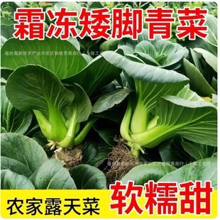 �K�����_���˪�����r�Gɫ�߲��K����Fժ�r��¶��̫�����ܛŴ��