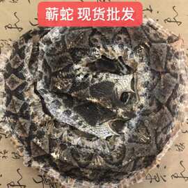 蕲蛇现货批发蕲蛇干 蕲蛇段 小蕲蛇干 五步蛇四川乌梢蛇   规格齐