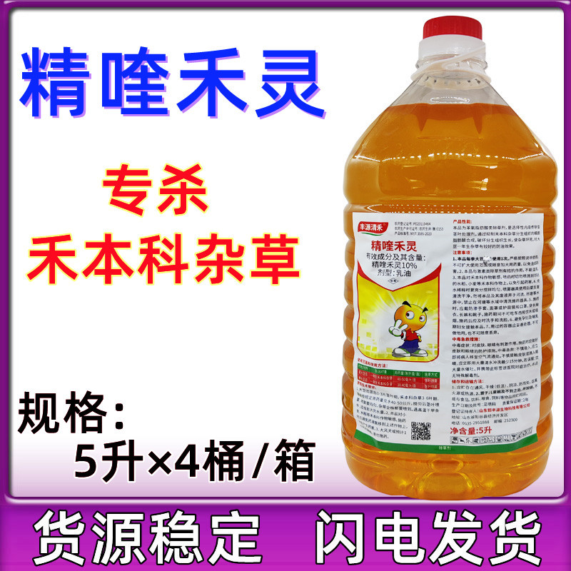 钜丰源 精喹禾灵10%精奎禾灵农药花生大豆田苗后除草剂大包装桶装