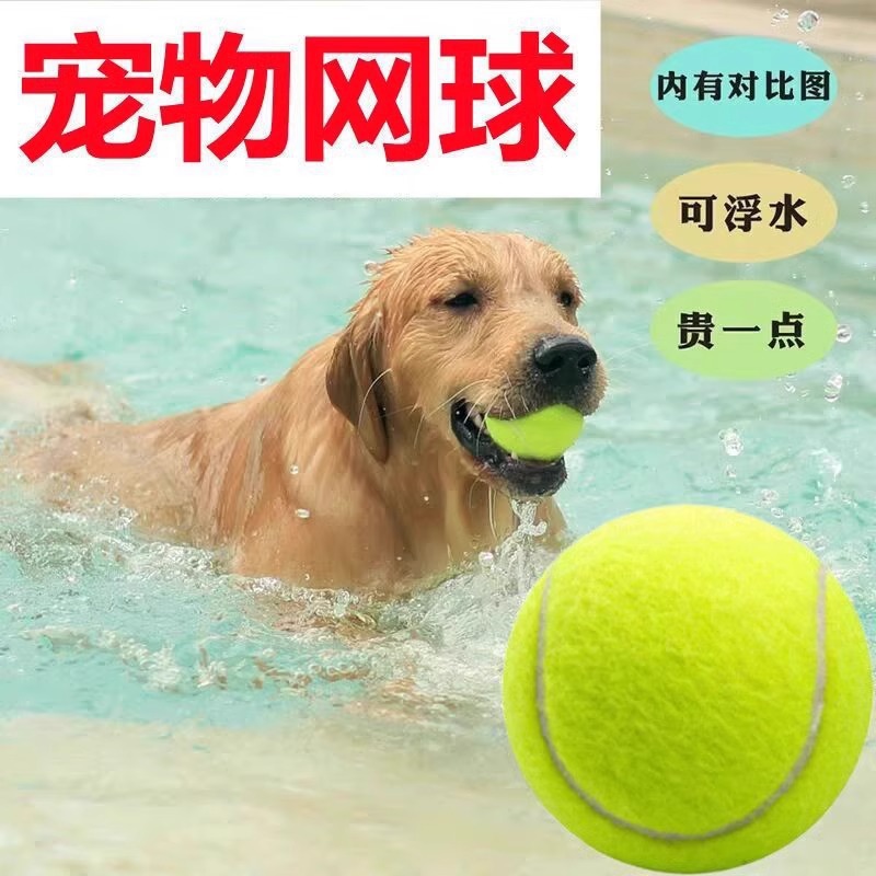 Pet Toy Tennis Ball Dog Molar Rebound Elastic Ball Outdoor Training Ball Interactive Toy Puppy Relieve Boredom Tennis Ball