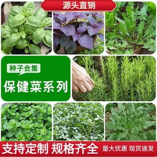 ���m�㱡�ɷN�����������������{���j�˷N�Ӷ�������ݻ��ܿ�ʳ��