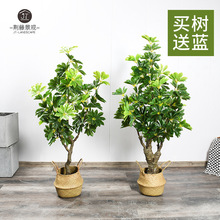 ؔ҃ȾGֲ_ľԕ͏d̈b[