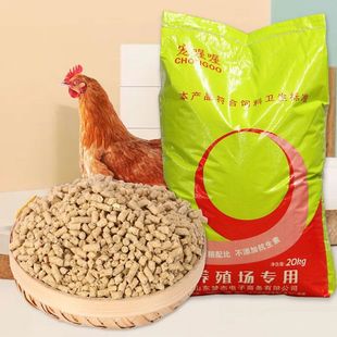 С�u���20��С�u�_������д��u�w��80���uʳ���uɢ�b�u���Z����