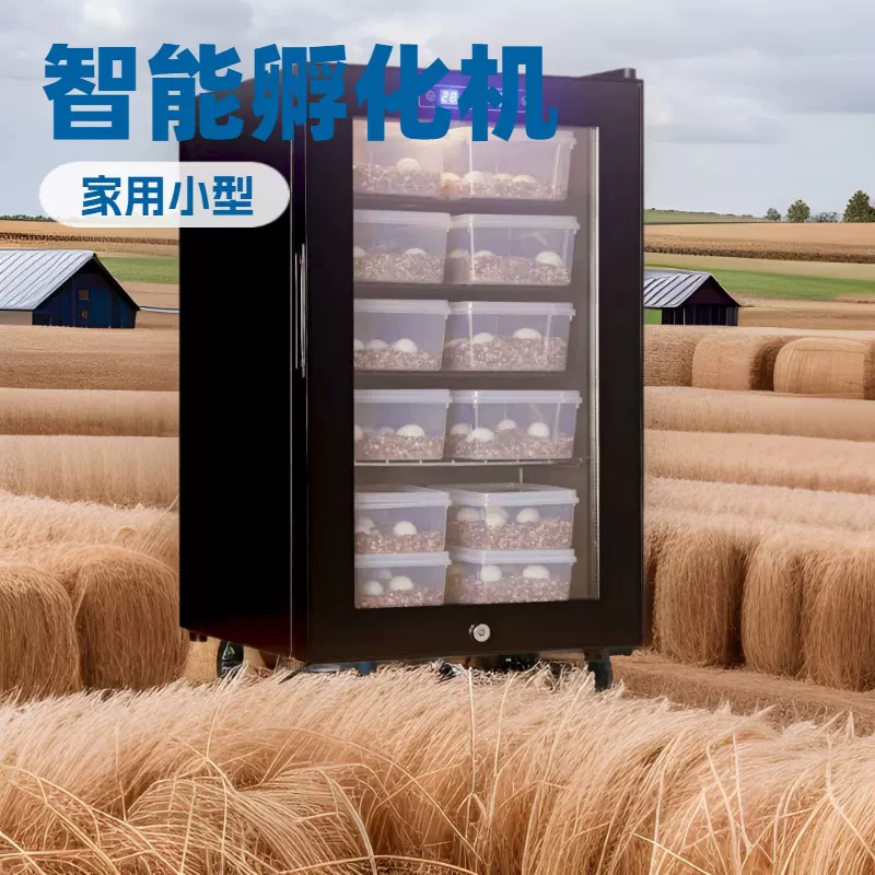 孵化箱全自动孵化器家用智能恒温柜孵蛋器乌龟蜥蜴小型爬宠孵化机