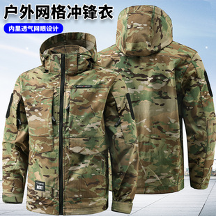 ������g�������оW��˺�фڱ���܊����Ӗ��CP�Բʷ������¹��b