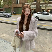 ���󴹶��� �Bñ��ëƤ������Ů2025������ëë������� С����