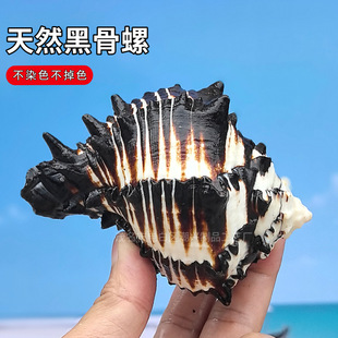��Ȼ����ؐ���ڰ��R�����n�Ĺ����~��ˮ���쾰�Ҿ��ղؔ[����Q��